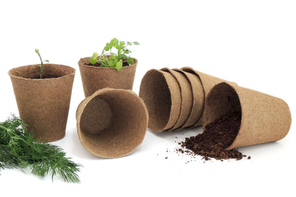 4" Naked Pots | Plantable Seed Starter Pots - Organic & Biodegradable Daniel's Plants