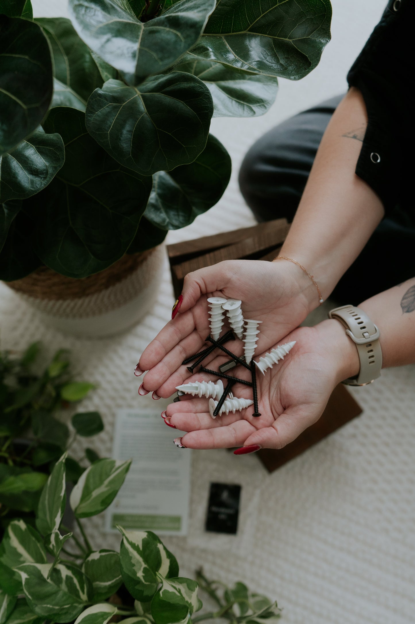 Wall Mounted Solid Wood Gallery Wall Plant Shelf — Woodland Brown (3 pack) Daniel's Plants