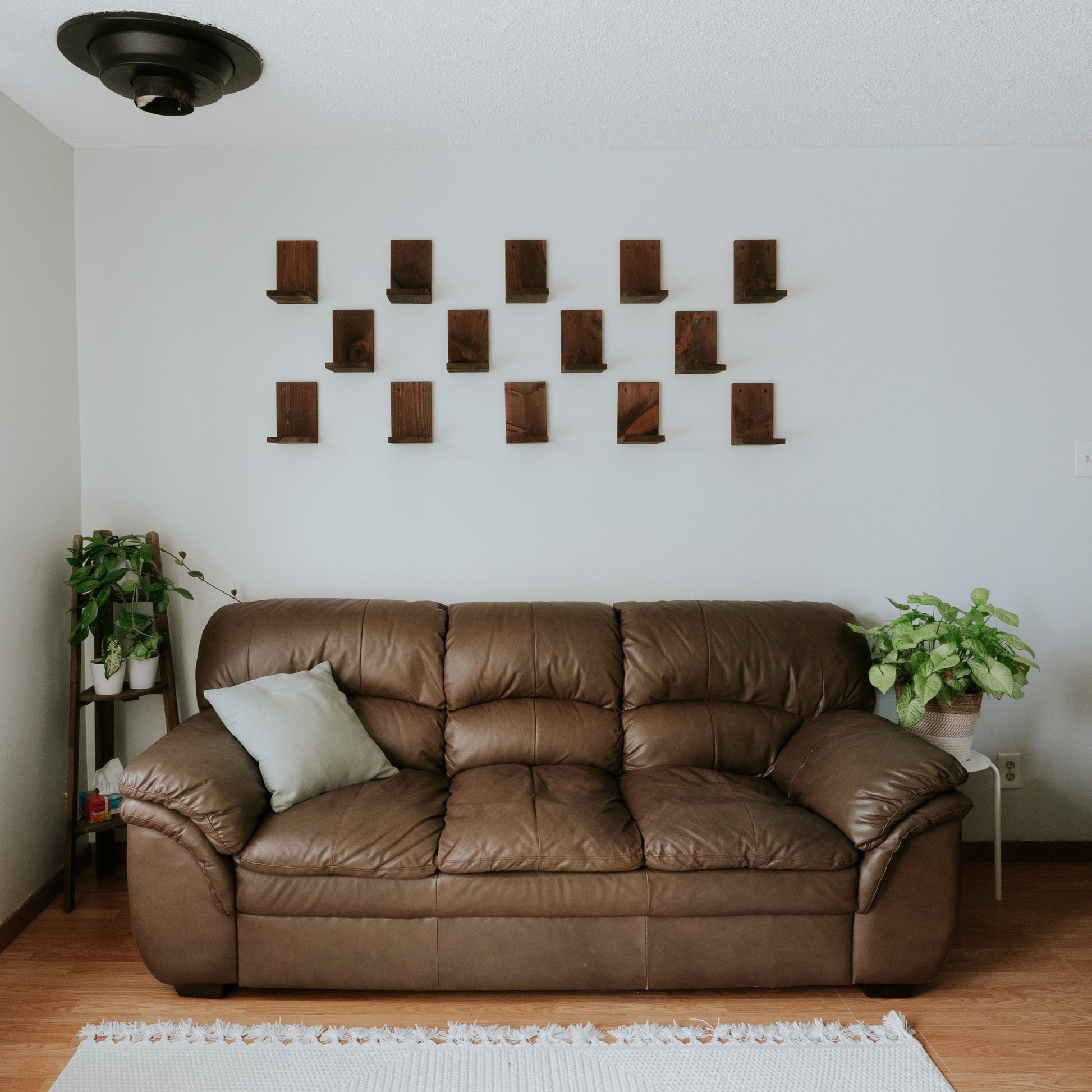 Wall Mounted Solid Wood Gallery Wall Plant Shelf — Woodland Brown (3 pack) Daniel's Plants