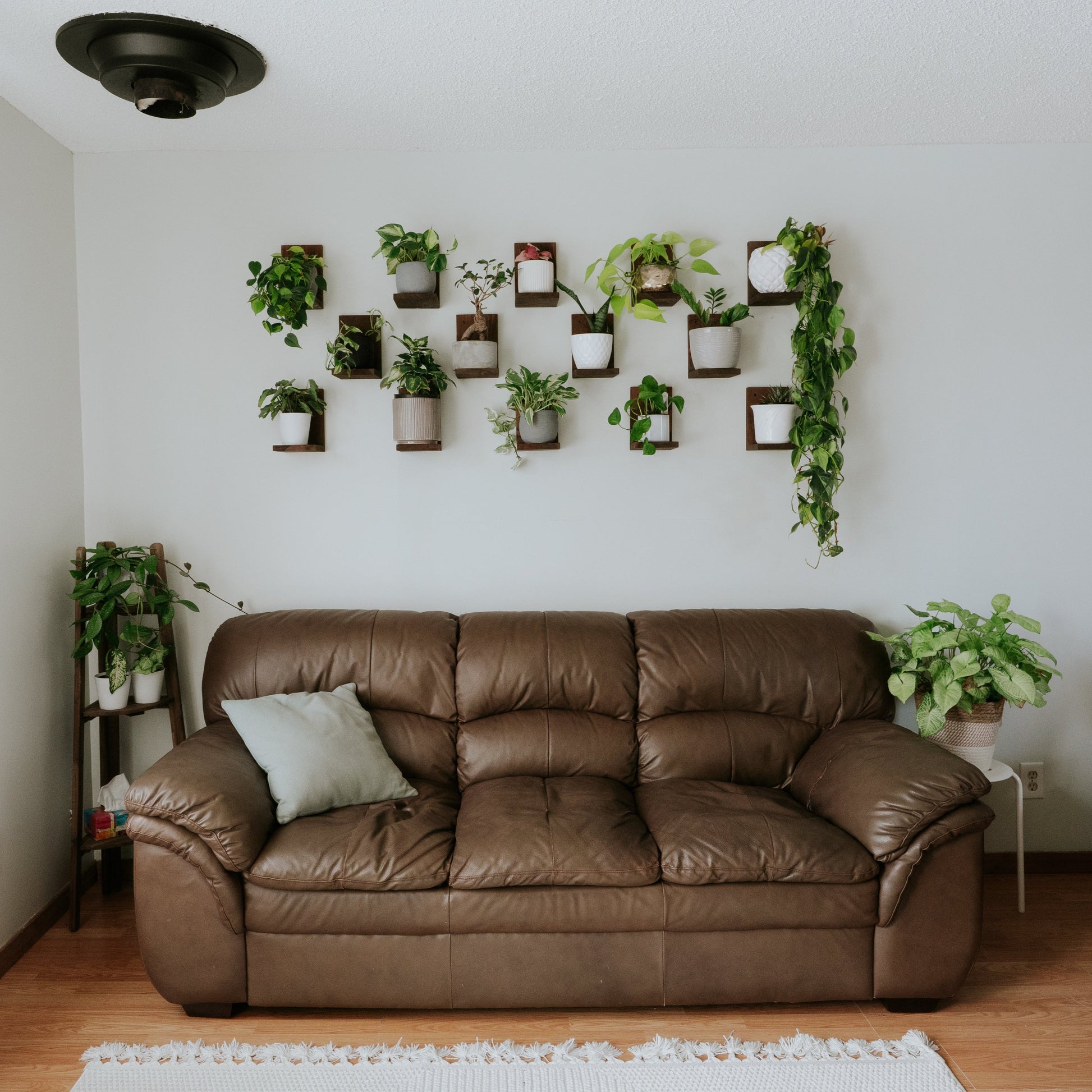 Wall Mounted Solid Wood Gallery Wall Plant Shelf — Woodland Brown (3 pack) Daniel's Plants