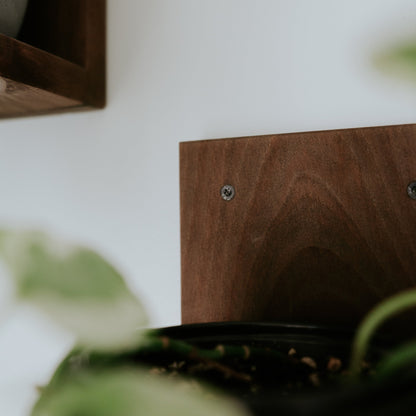 Wall Mounted Solid Wood Gallery Wall Plant Shelf — Woodland Brown (3 pack) Daniel's Plants