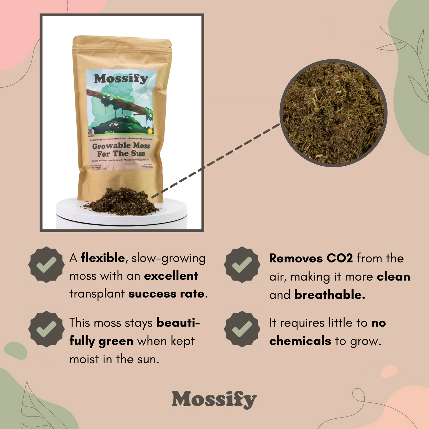 Growable Moss for the Sun Mossify
