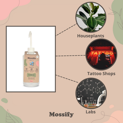 Mossify squirtr Mossify