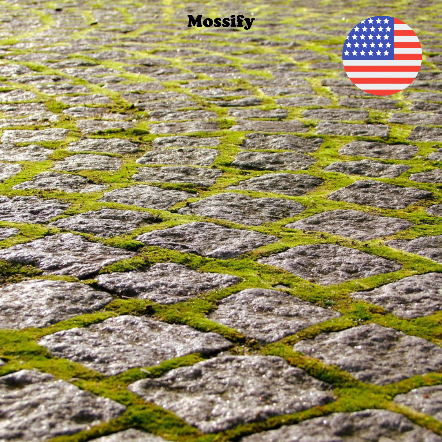Growable Moss for the Sun Mossify