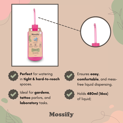 Mossify squirtr Mossify