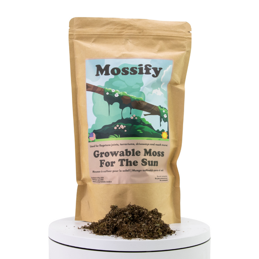 Growable Moss for the Sun Mossify