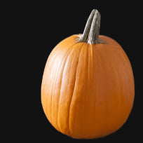 Howden Pumpkin Metchosin Farm