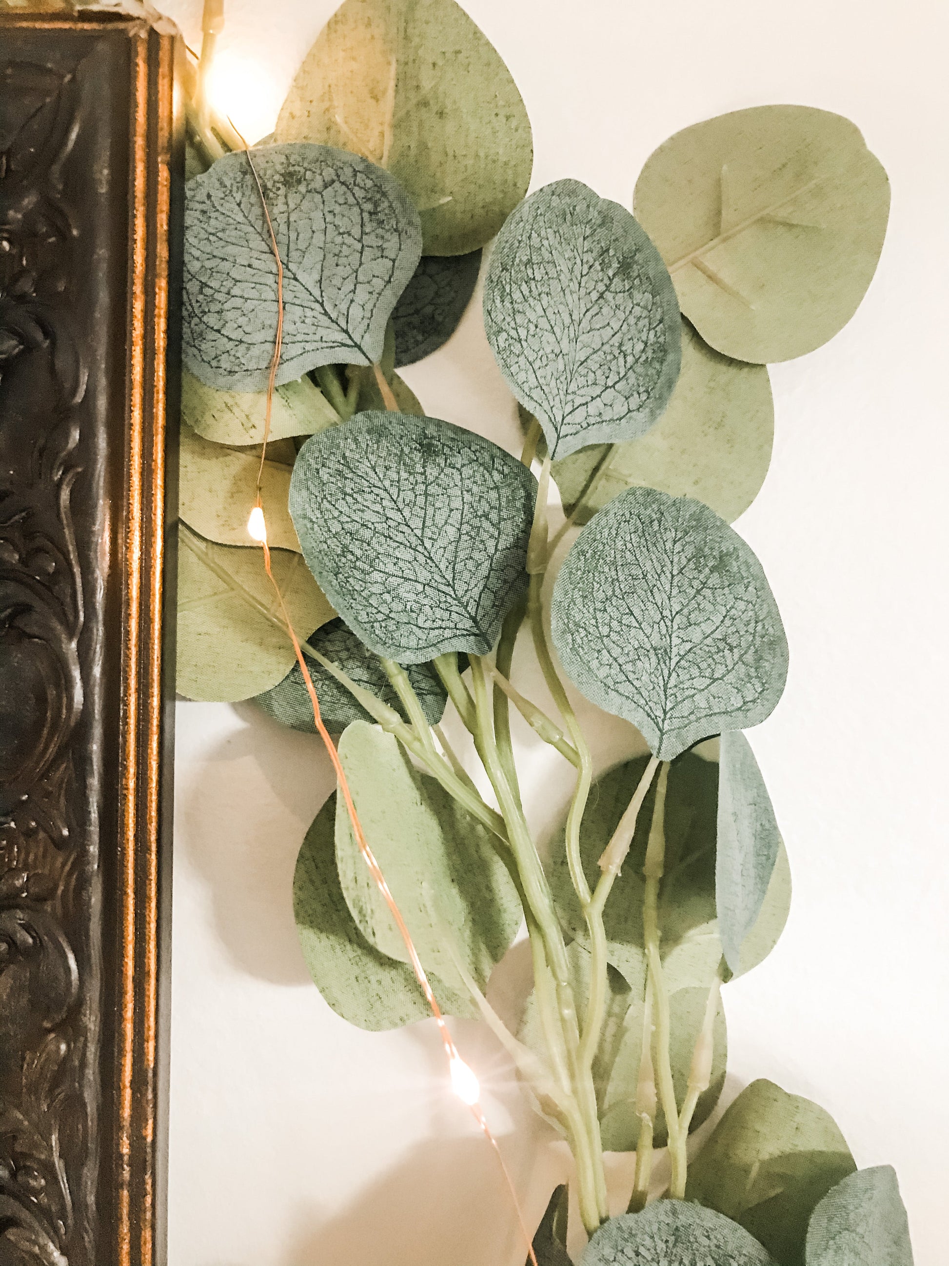 Fairy Lights Eucalypt Co.