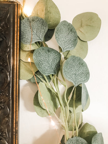 Fairy Lights Eucalypt Co.