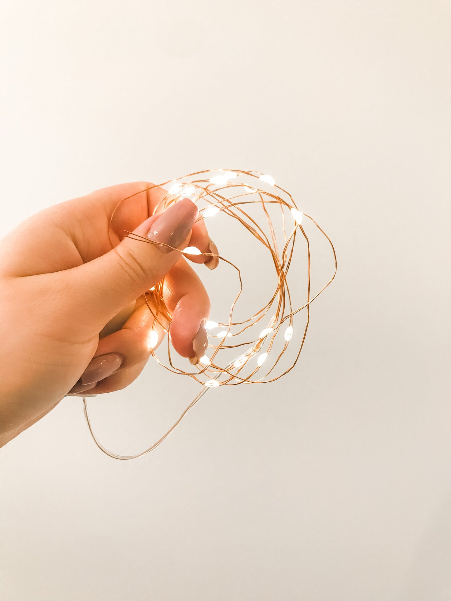 Fairy Lights Eucalypt Co.