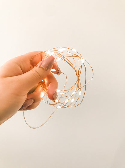 Fairy Lights Eucalypt Co.