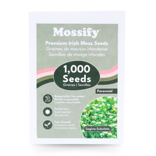 Premium Irish Moss Seeds - Sagina Subulata Seeds Mossify