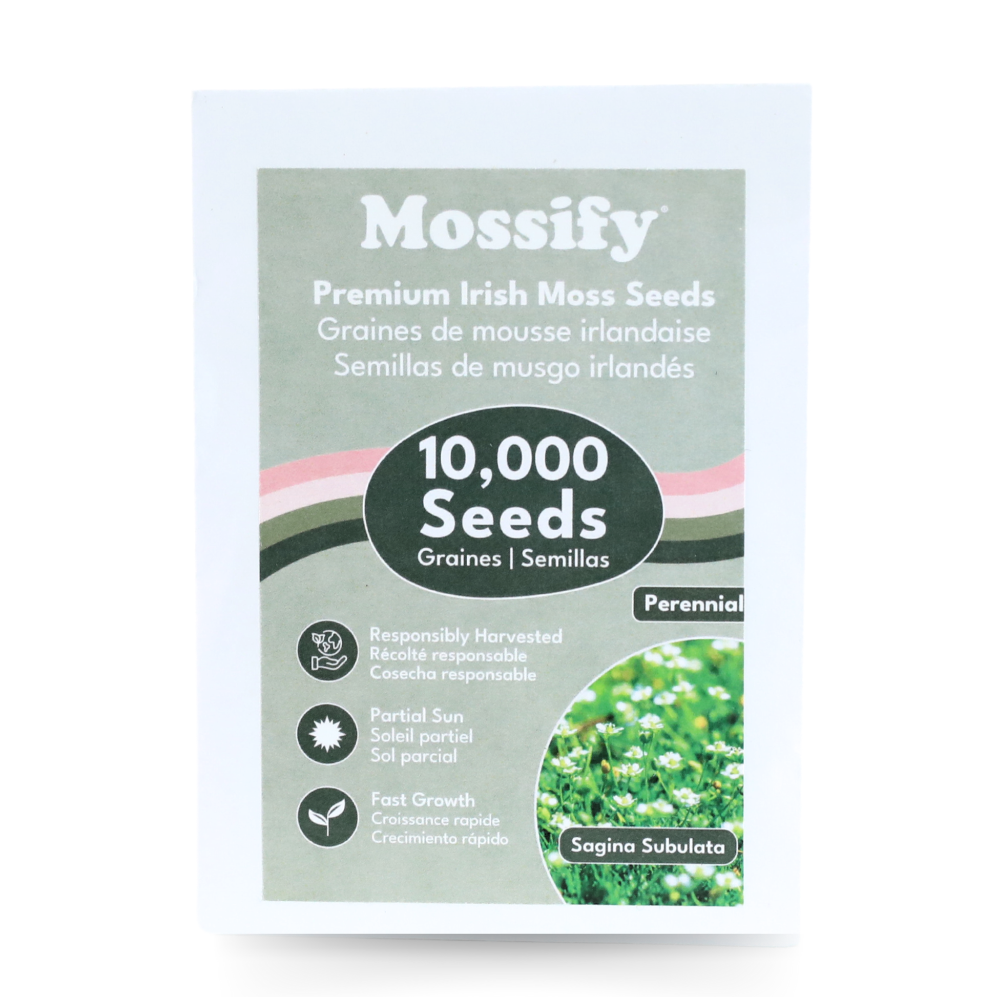 Premium Irish Moss Seeds - Sagina Subulata Seeds Mossify