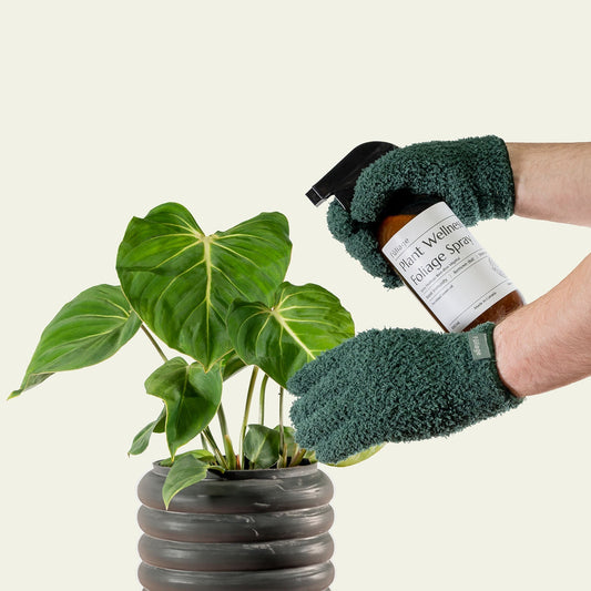 Gants Microfibres pour Plantes – Fuliage Fuliage