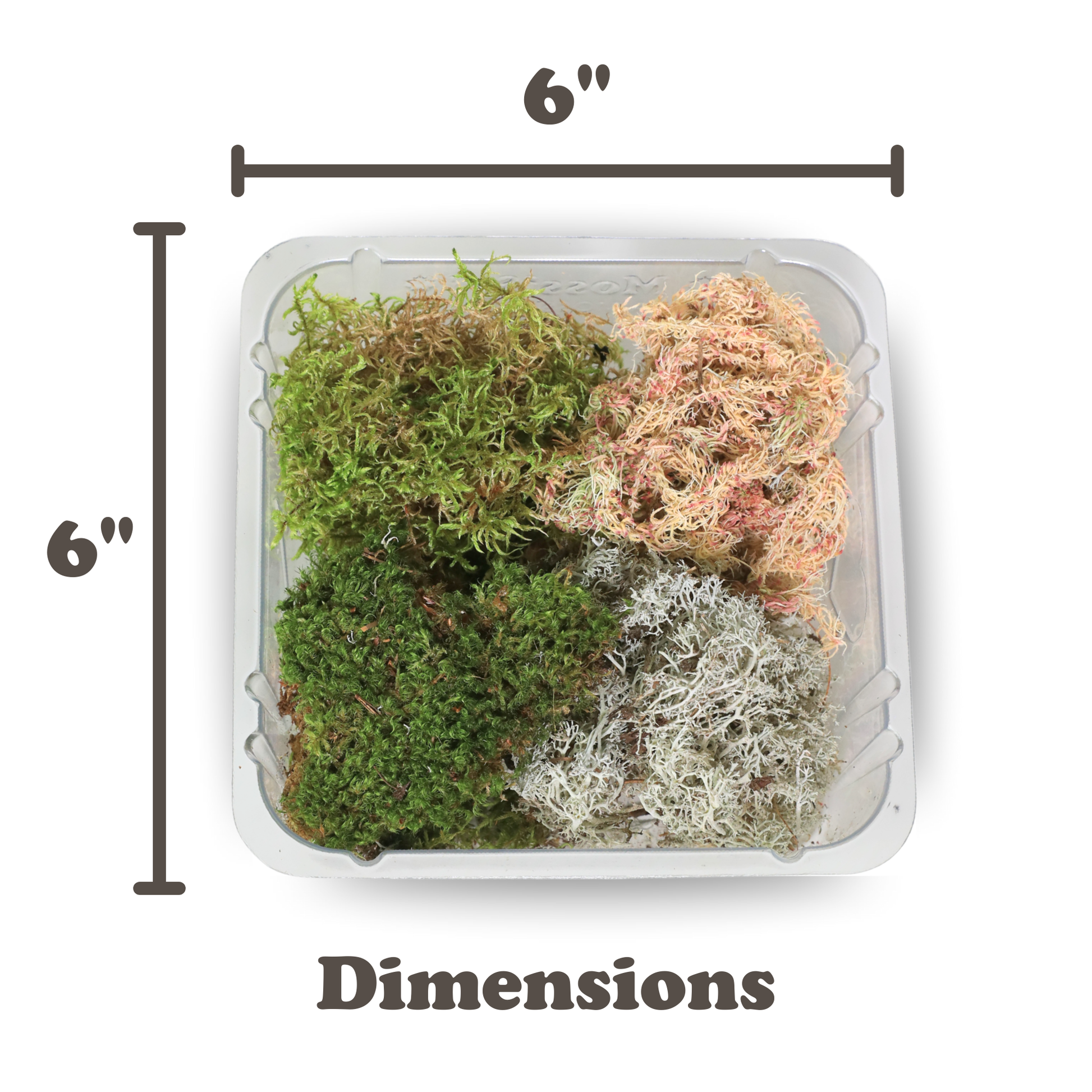 Revita-Moss Mixed Pack Mossify