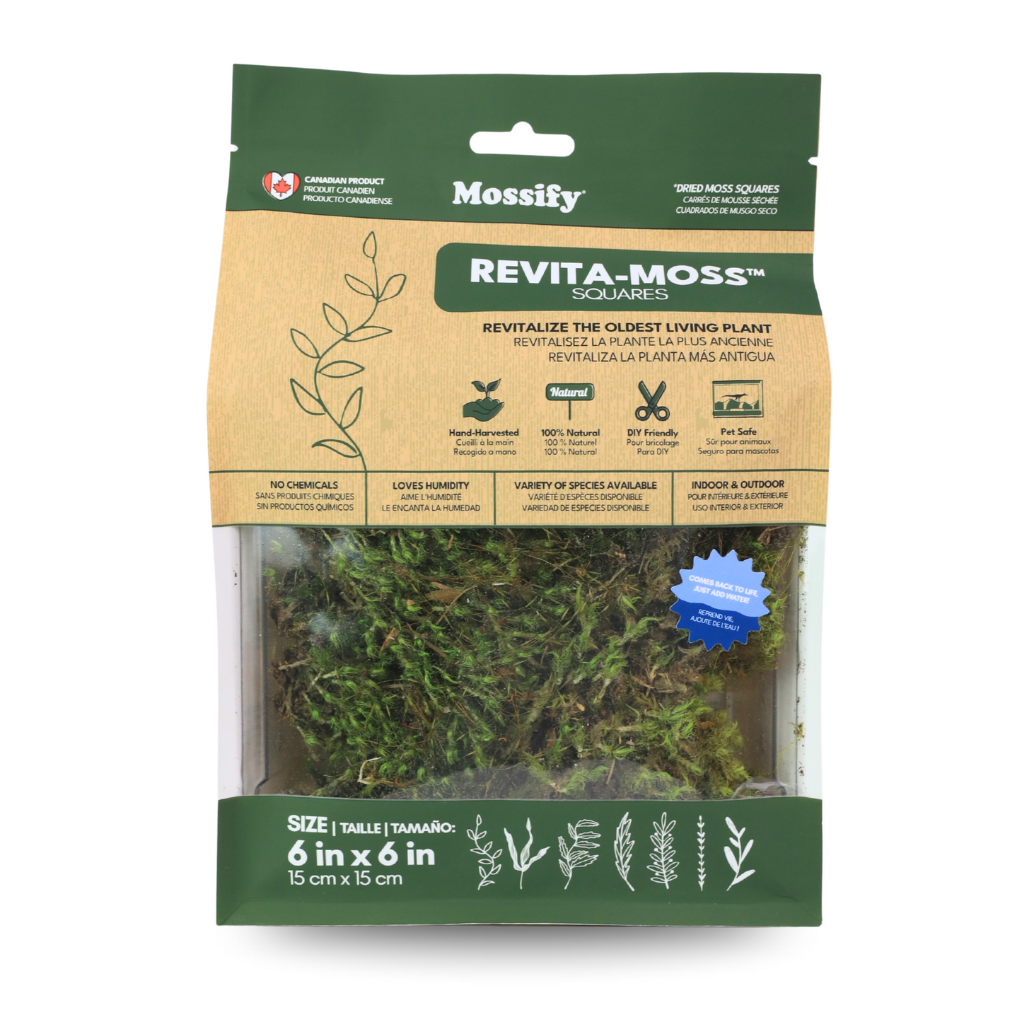 Mood Moss - Revita-Moss (Dicranum) Mossify
