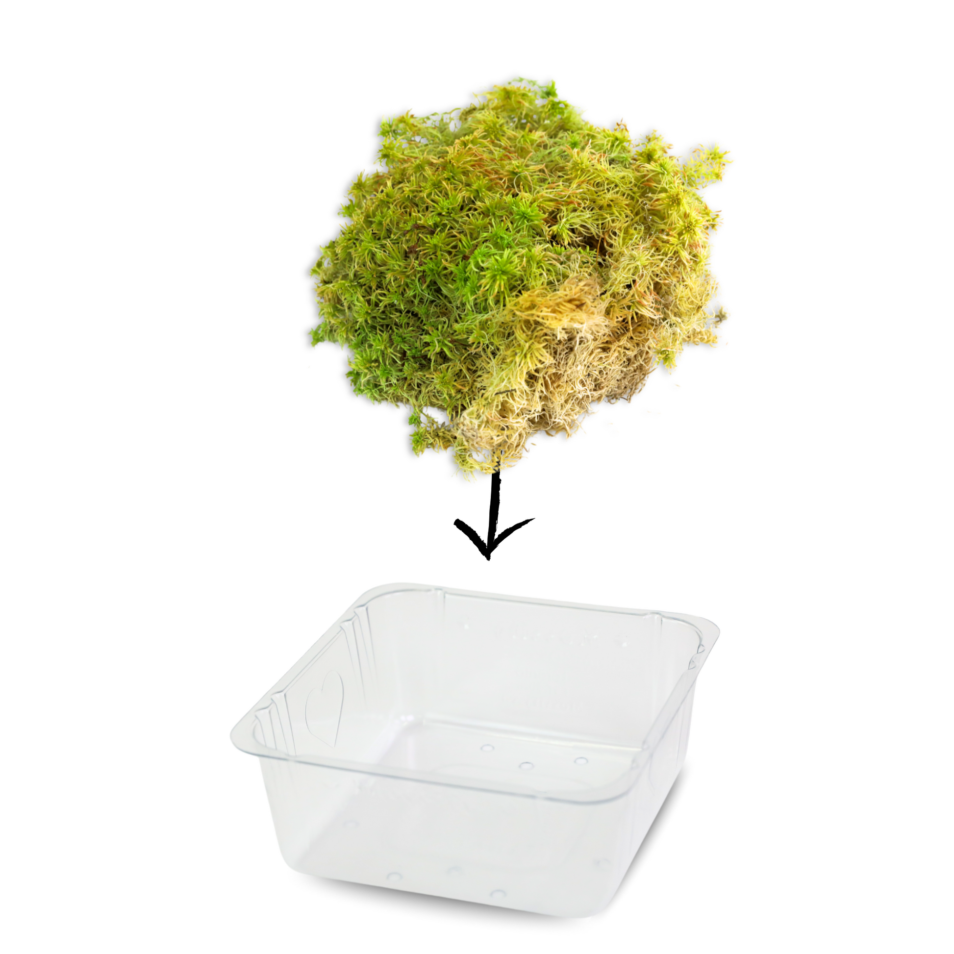 Natural Canadian Sphagnum Moss - Revita-Moss Mossify