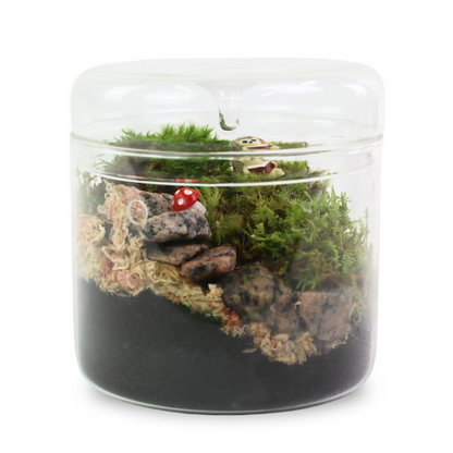 Mood Moss - Revita-Moss (Dicranum) Mossify