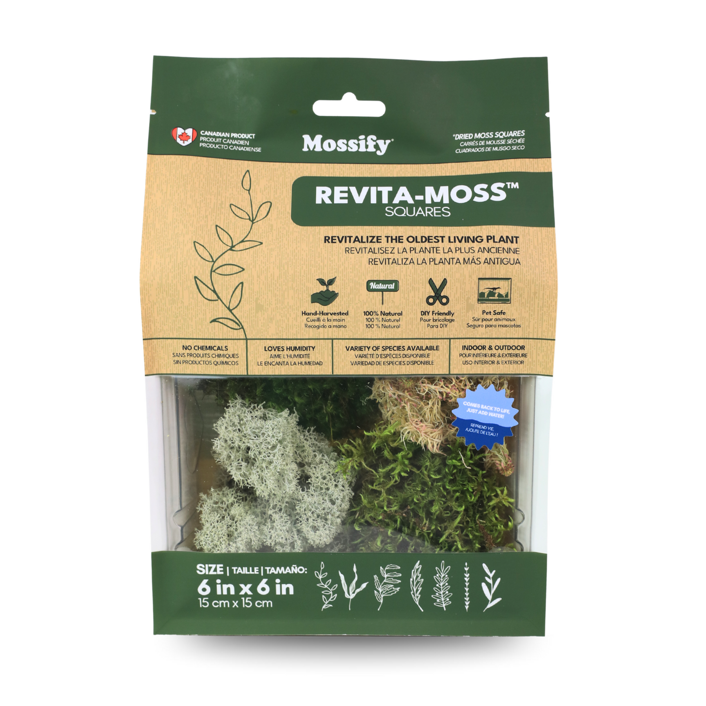 Revita-Moss Mixed Pack Mossify