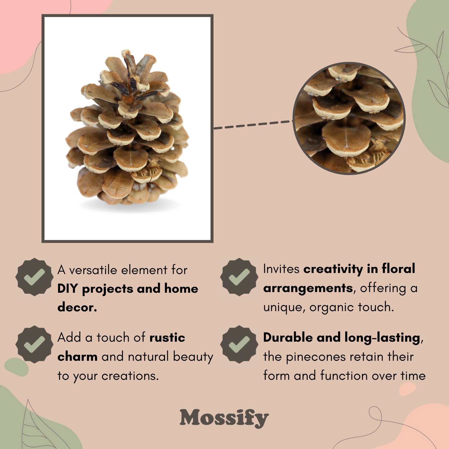 Pinecones - Natural & Frosted Mossify