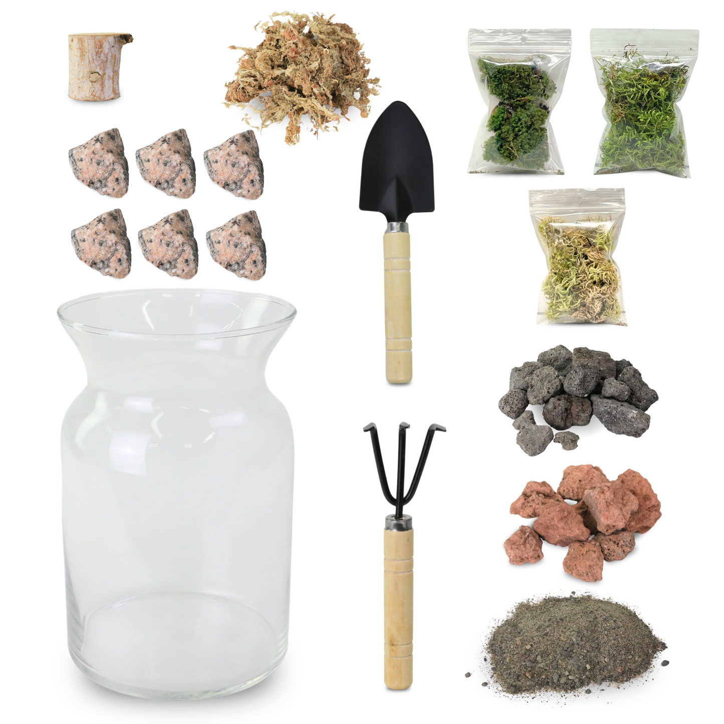 Mossify Terrarium Kit Mossify