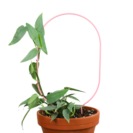 "Oval" Metal Trellis Mossify