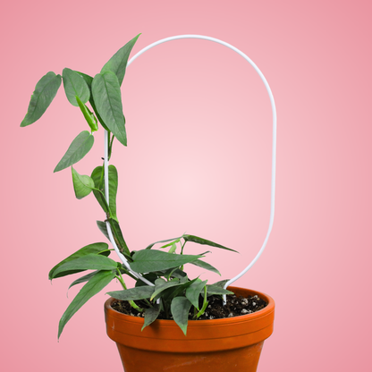 "Oval" Metal Trellis Mossify