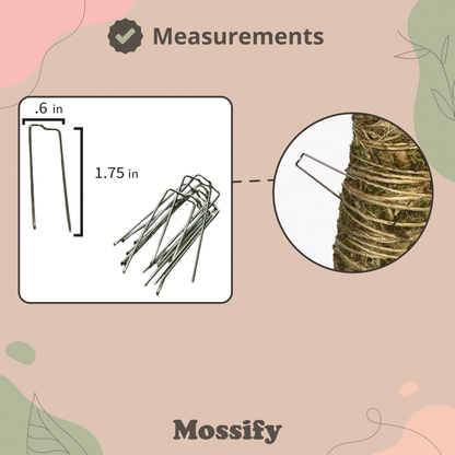Floral Pins - Greening Pins - Moss Pole Pins Mossify