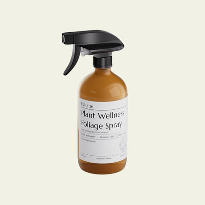 Spray Foliaire Bien-Être des Plantes au Neem – Fuliage Fuliage