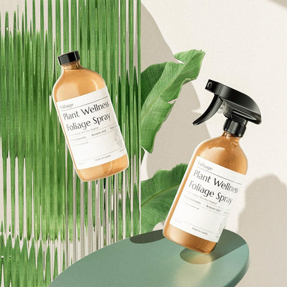 Spray Foliaire Bien-Être des Plantes au Neem – Fuliage Fuliage