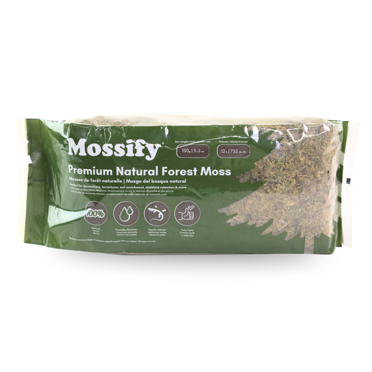 Premium Natural Forest Moss Mossify