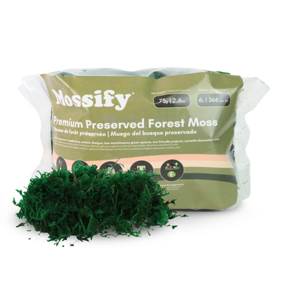 Premium Preserved Forest Moss Mossify
