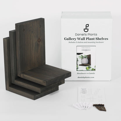 Wall Mounted Solid Wood Gallery Wall Plant Shelf — Dusk Grey (3 pack) Daniel's Plants