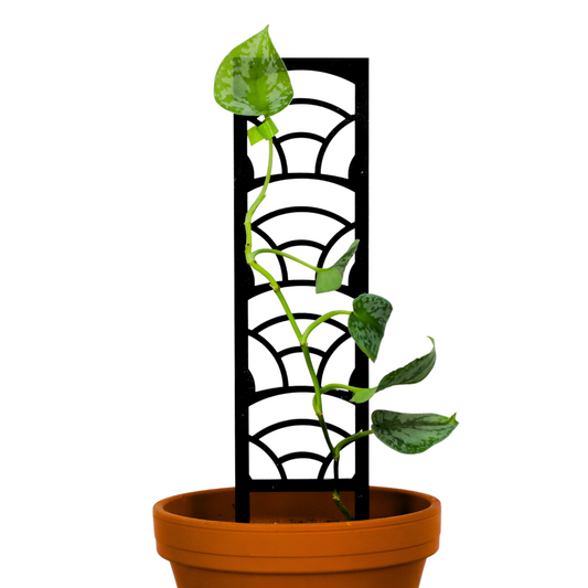 Rainbow Wooden Trellis Mossify