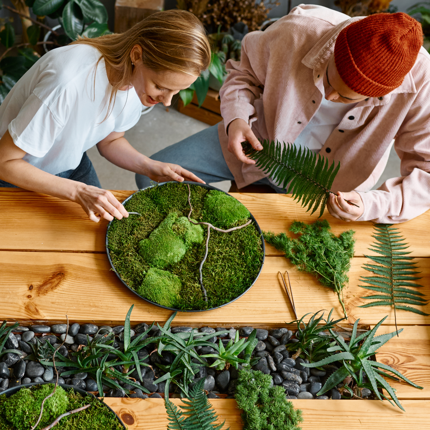 Premium Preserved Reindeer Moss Mossify