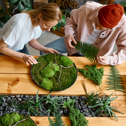 Premium Preserved Reindeer Moss Mossify