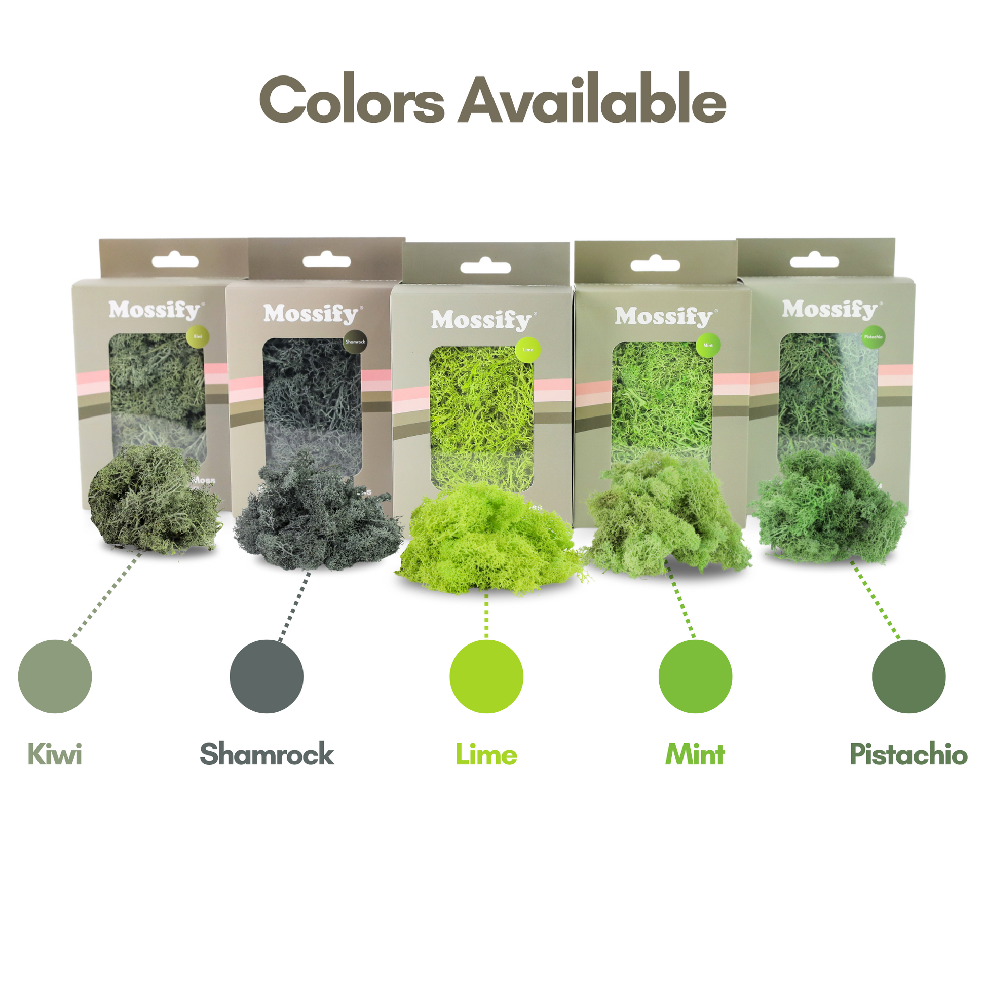 Premium Preserved Reindeer Moss Mossify