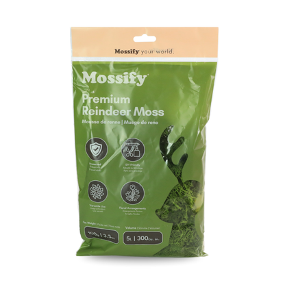 Premium Reindeer Moss Bag (100g & 250g) - NEW! Mossify