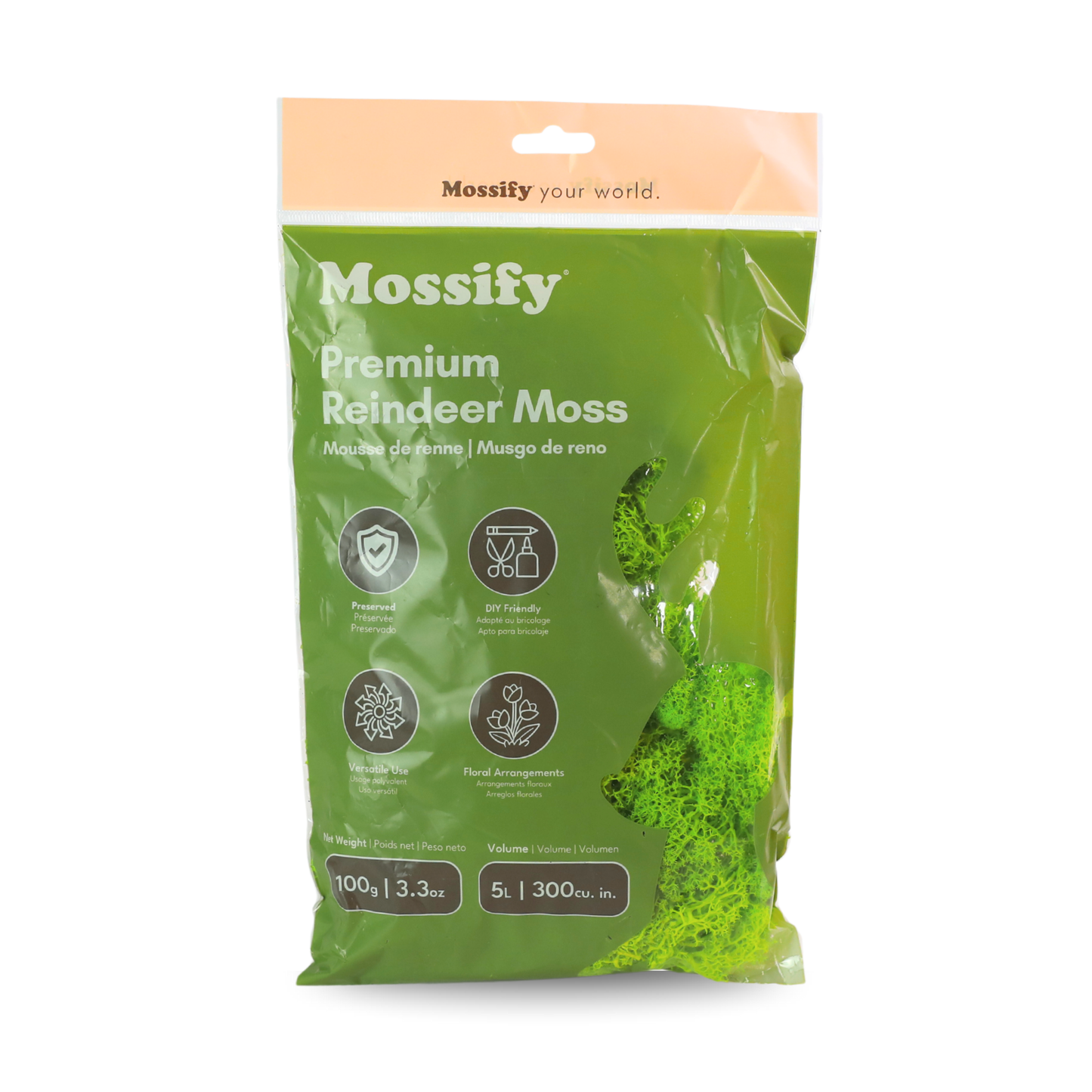 Premium Reindeer Moss Bag (100g & 250g) - NEW! Mossify