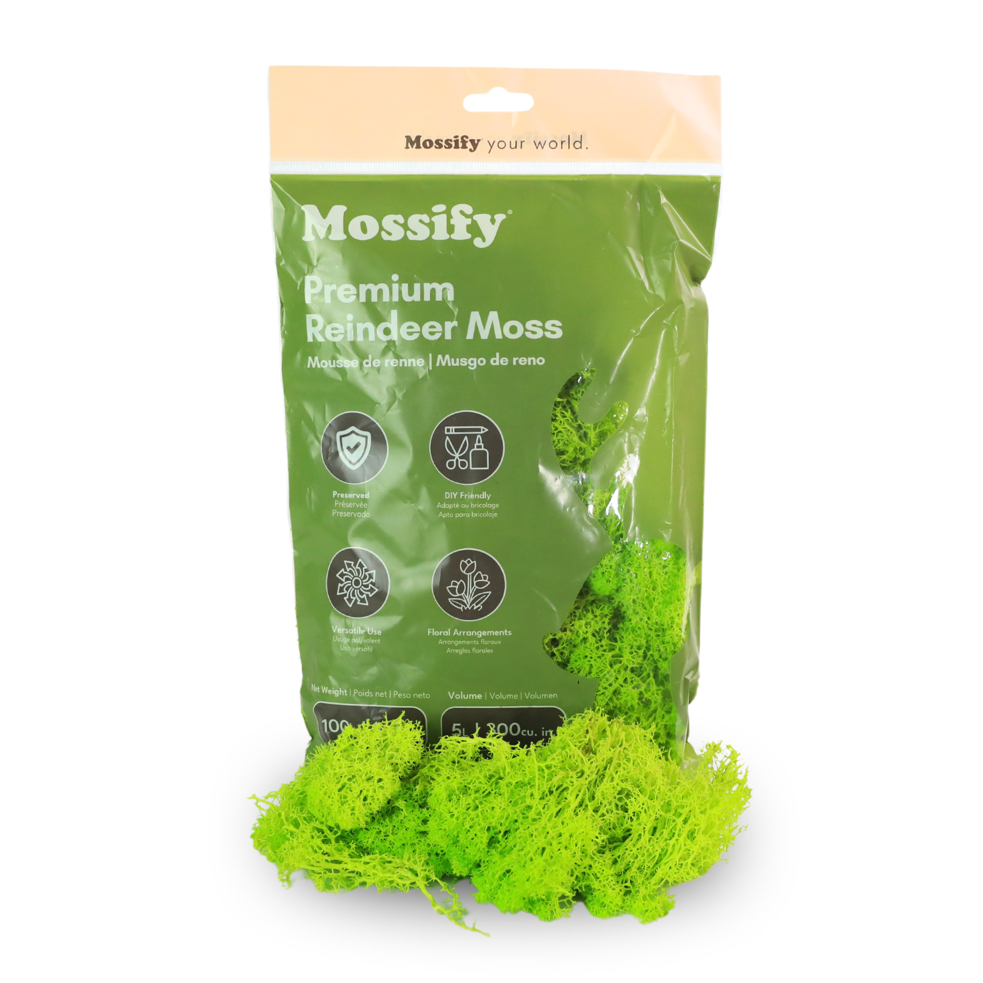 Premium Reindeer Moss Bag (100g & 250g) - NEW! Mossify