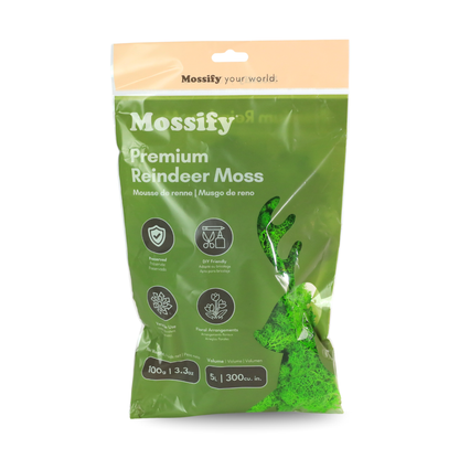 Premium Reindeer Moss Bag (100g & 250g) - NEW! Mossify