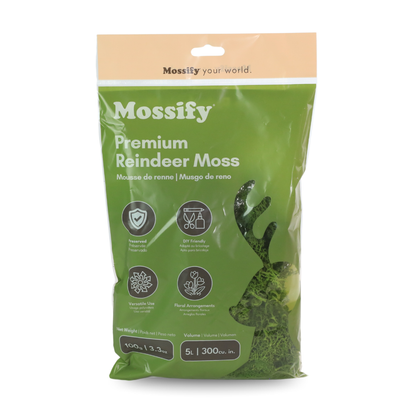 Premium Reindeer Moss Bag (100g & 250g) - NEW! Mossify