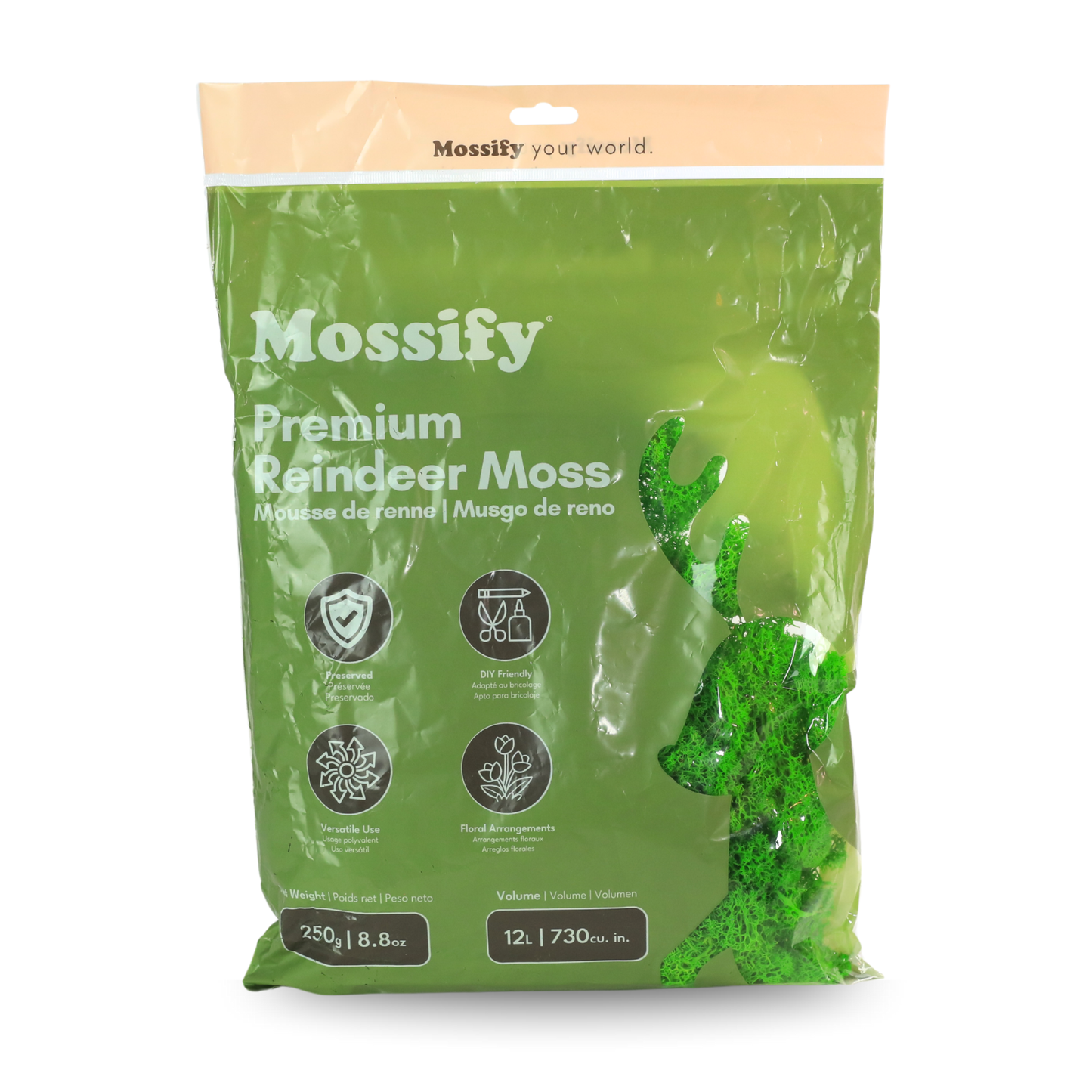 Premium Reindeer Moss Bag (100g & 250g) - NEW! Mossify