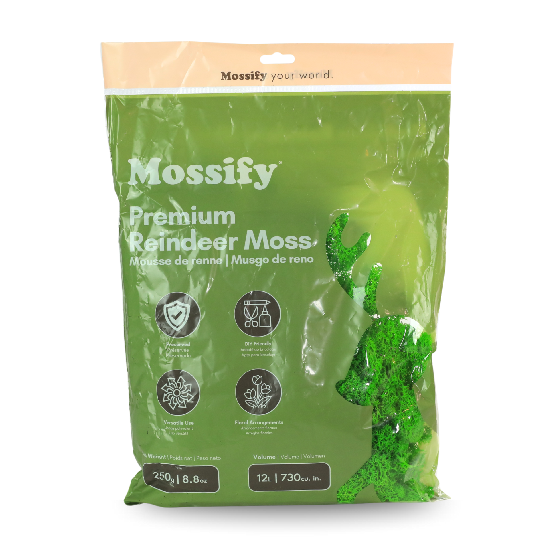 Premium Reindeer Moss Bag (100g & 250g) - NEW! Mossify