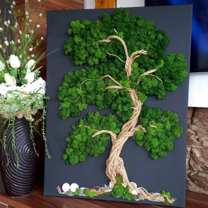 Premium Preserved Reindeer Moss Mossify
