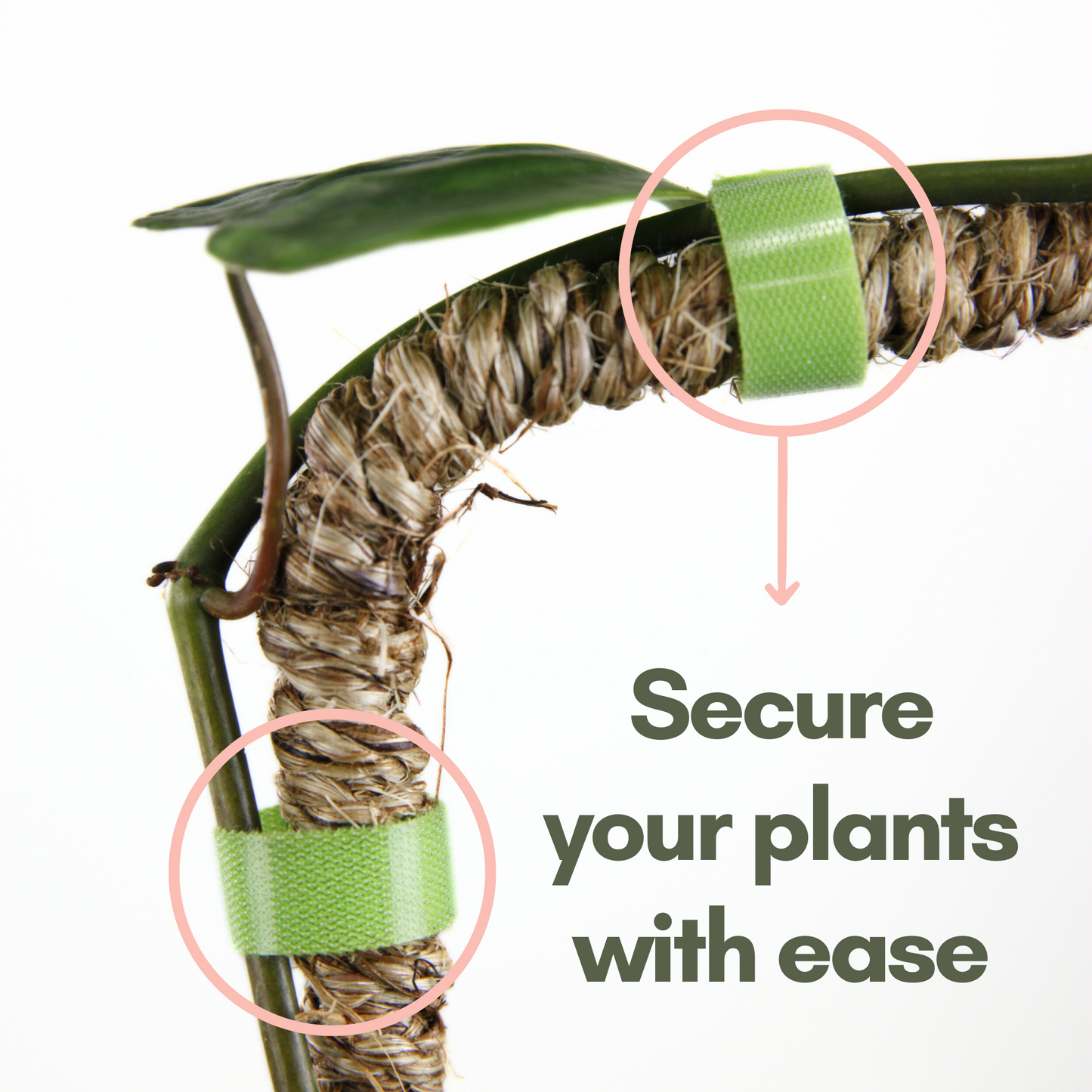 Reusable Plant Tape Mossify