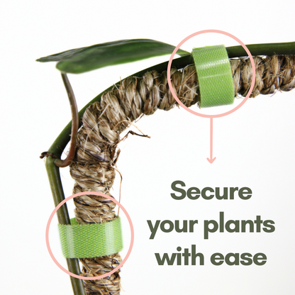 Reusable Plant Tape Mossify