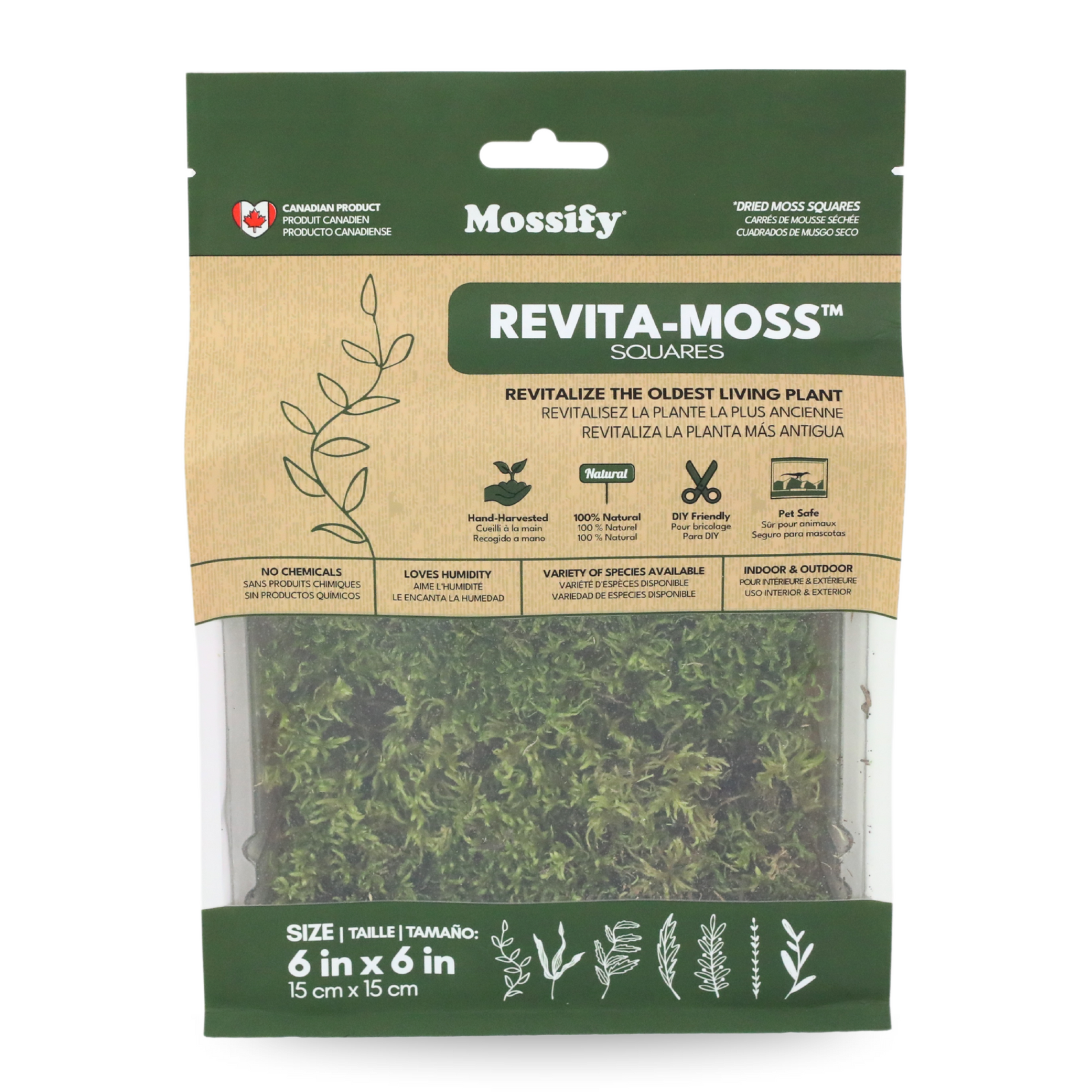 Natural Canadian Forest Moss - Revita-Moss (Pleurozium schreberi) Mossify