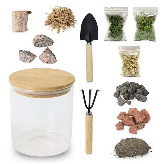 Mossify Terrarium Kit Mossify