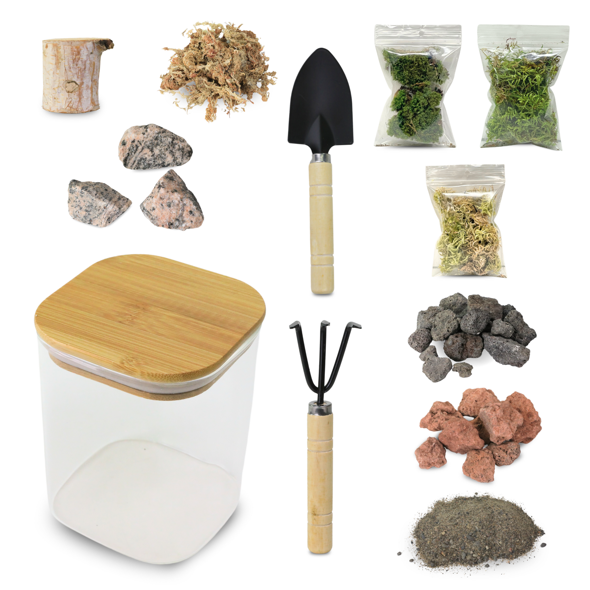Mossify Terrarium Kit Mossify